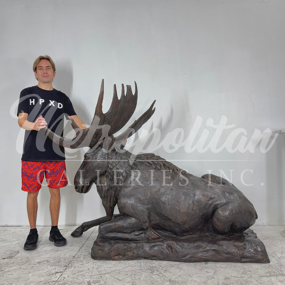 Reclining Moose Bronze Statue